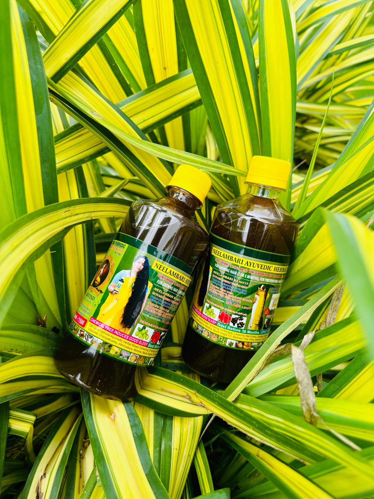 ADIVASI HERBAL HAIR OIL🌿